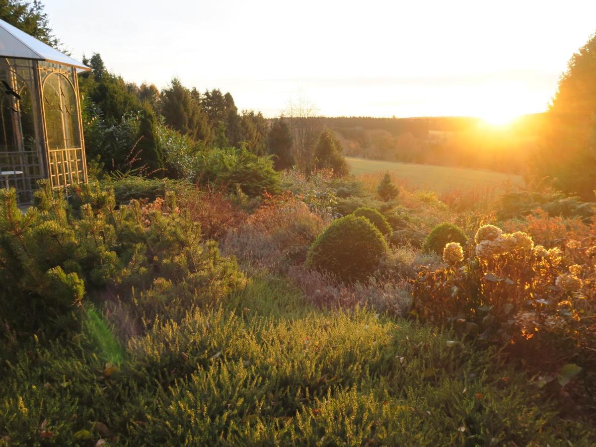 Ferienhaus Sonne, Harz Und Sterne Villa Hohegeiss Exterior photo