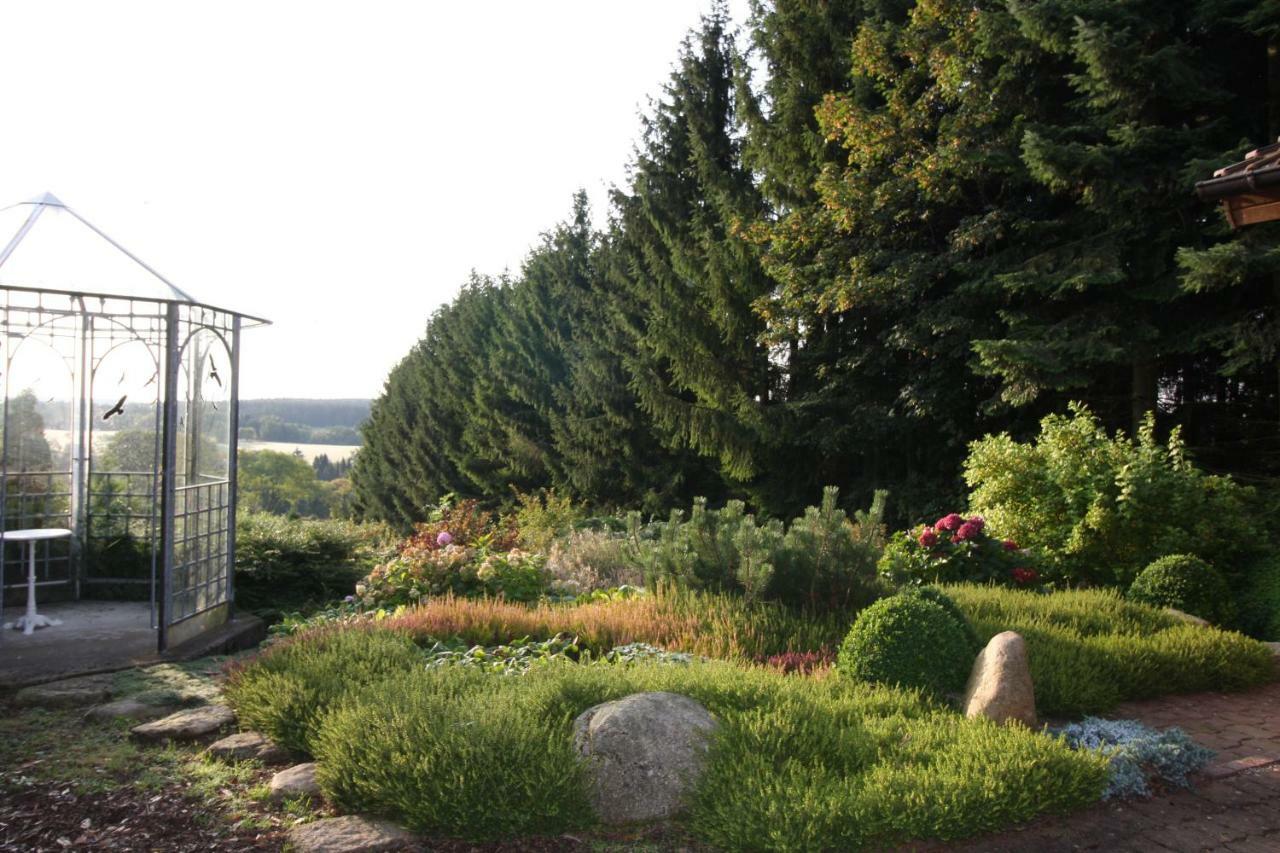 Ferienhaus Sonne, Harz Und Sterne Villa Hohegeiss Exterior photo