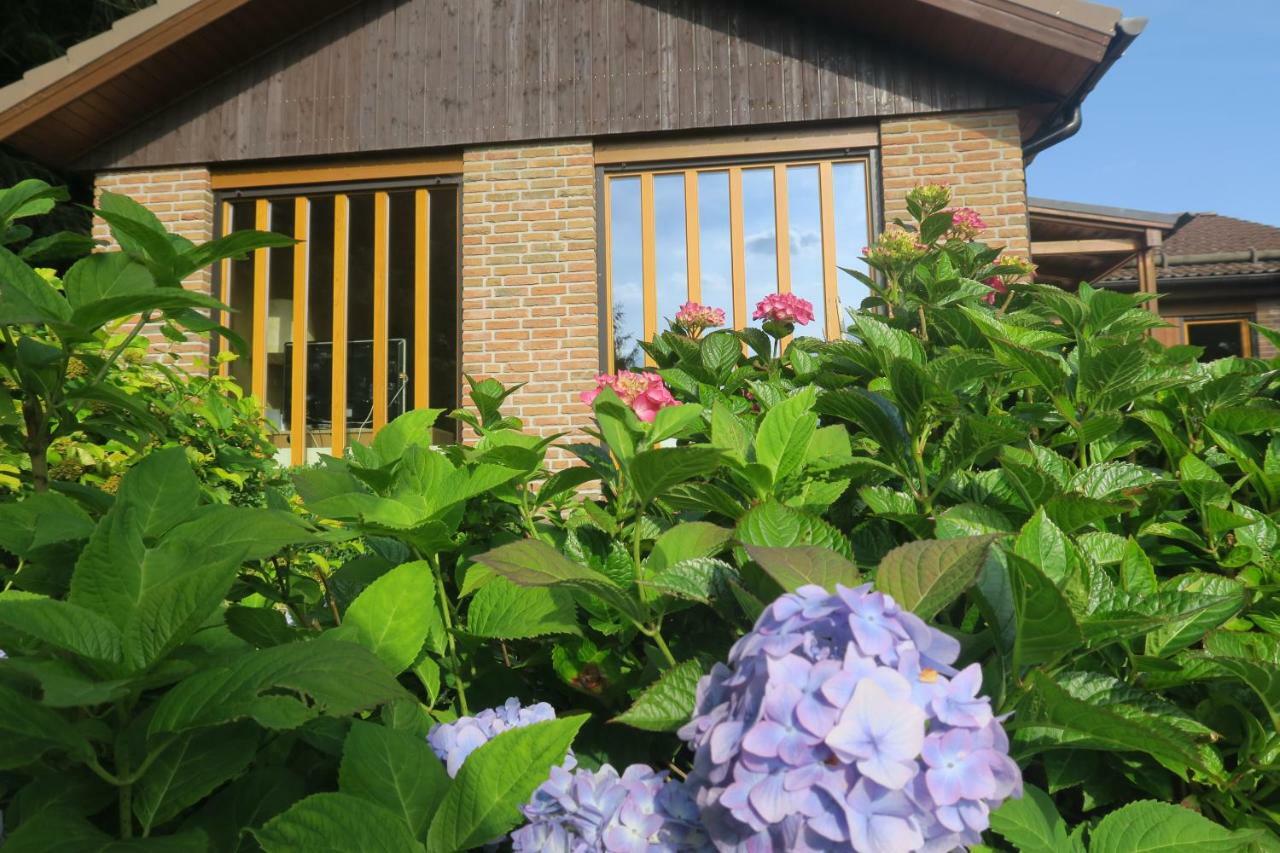 Ferienhaus Sonne, Harz Und Sterne Villa Hohegeiss Exterior photo